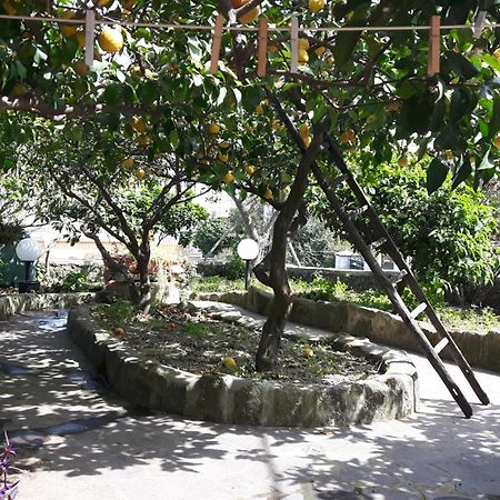 Holiday Apartments Lacco Ameno  Dış mekan fotoğraf