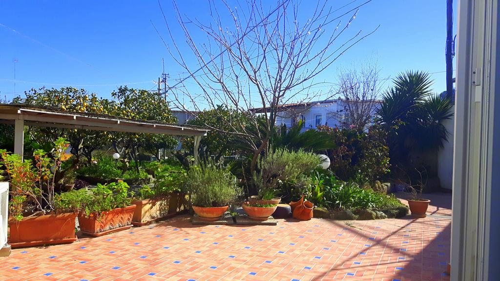Holiday Apartments Lacco Ameno  Dış mekan fotoğraf