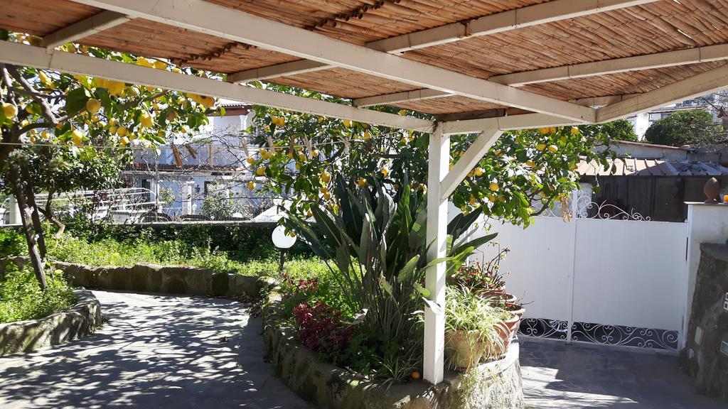 Holiday Apartments Lacco Ameno  Dış mekan fotoğraf